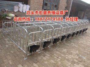 吉林養豬設備配套 母豬限位欄價格解析與豬用定位欄廠家批發指南